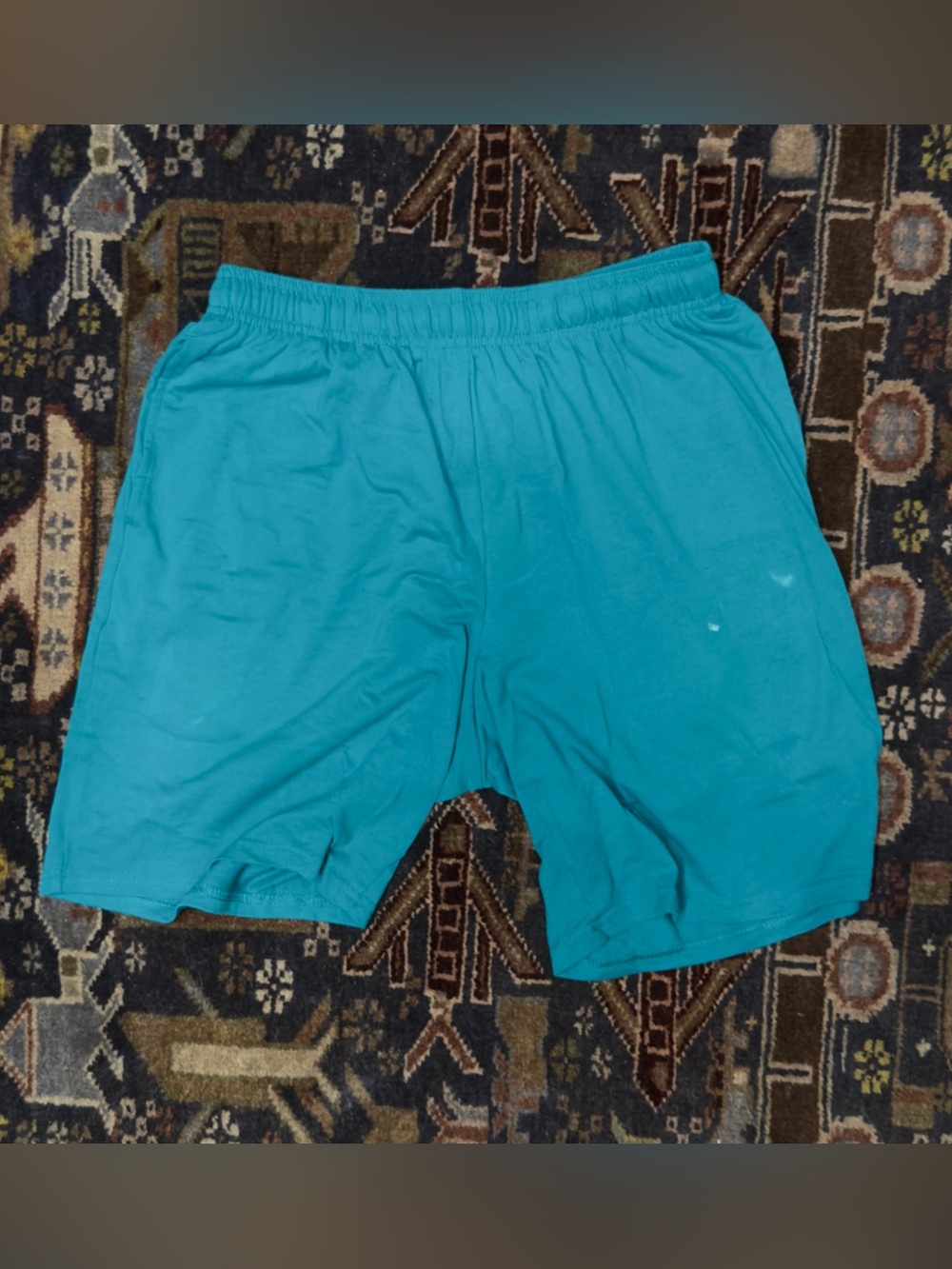 Athletic Works Men's Teal Performance Shorts
